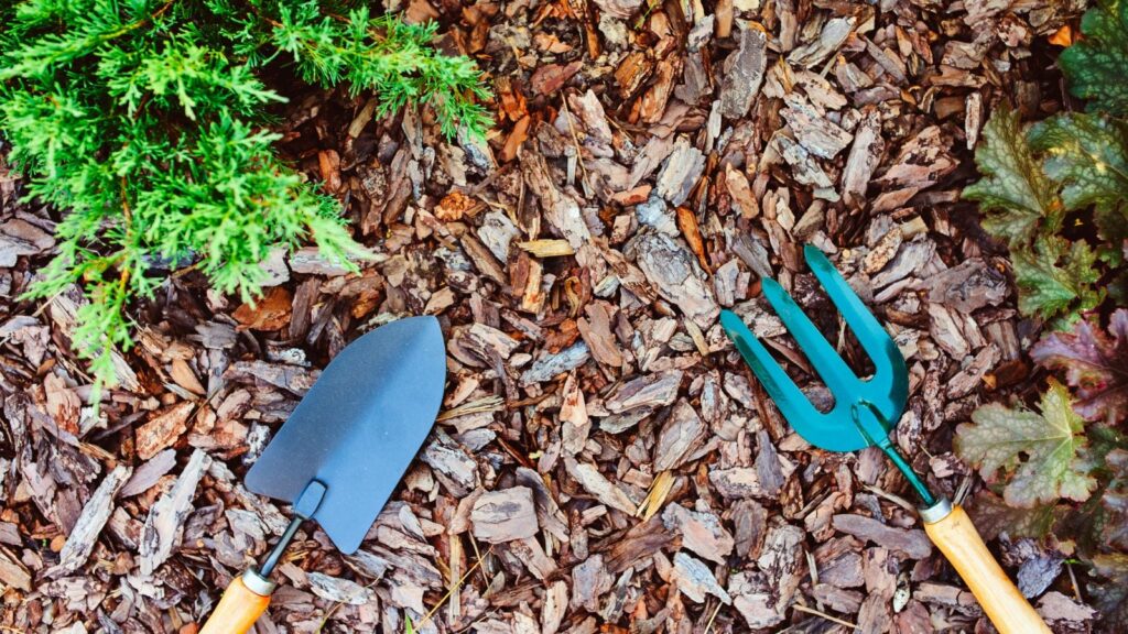 5 Questions to Ask Before Hiring for Wood Chip Mulch