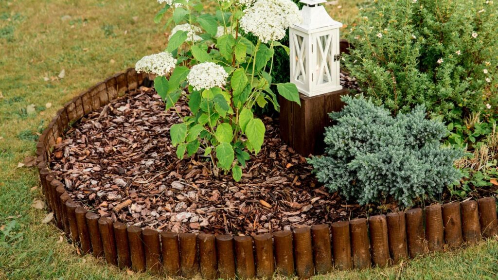 5 Questions to Ask Before Hiring for Wood Chip Mulch