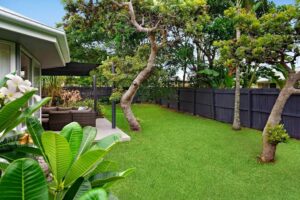 Read more about the article Everything Homeowners Renovating or Building Should Know About Tree Service North Shore
