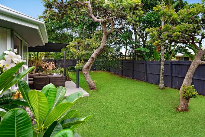 Read more about the article Everything Homeowners Renovating or Building Should Know About Tree Service North Shore